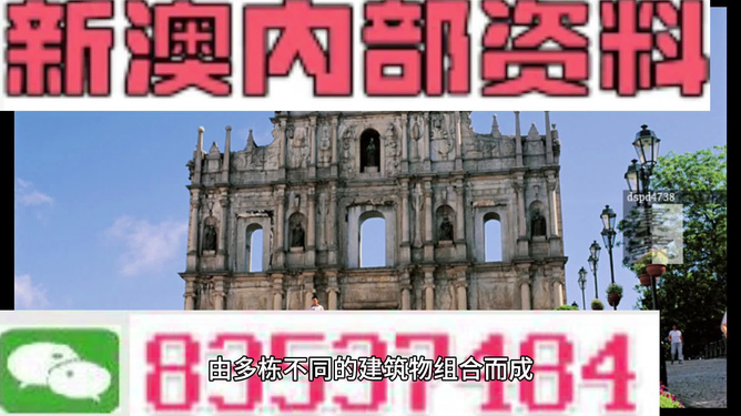 2024新澳最准确资料,专业解读操行解决_妹妹版95.549