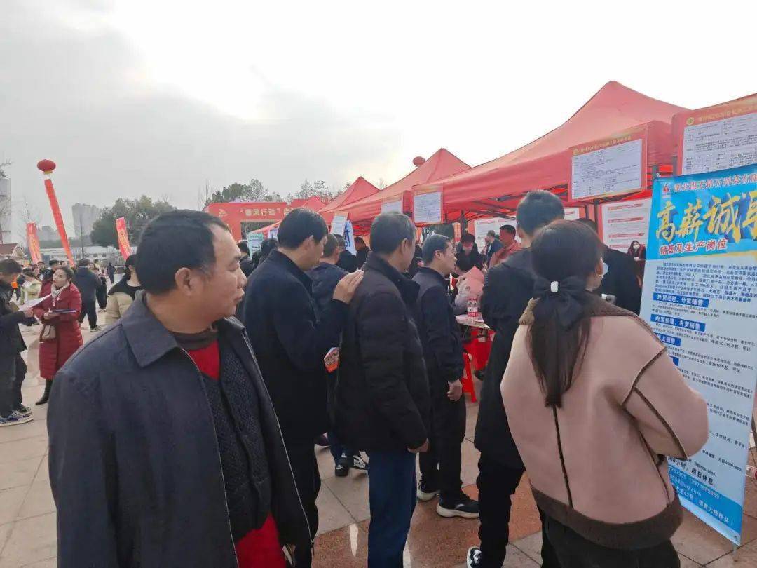职业发展选择之地