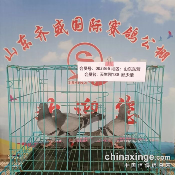 德州公棚最新公告发布✨