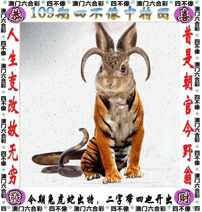 今晚必中一肖一码四不像,持续改进策略_发布版95.854