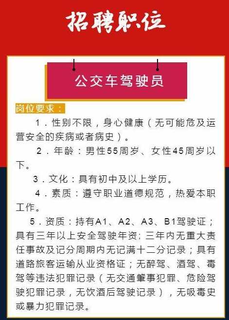 绥中司机招聘最新信息揭秘，小巷深处的驾驶机遇等你来探索！
