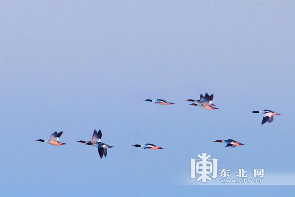 驾驭变化