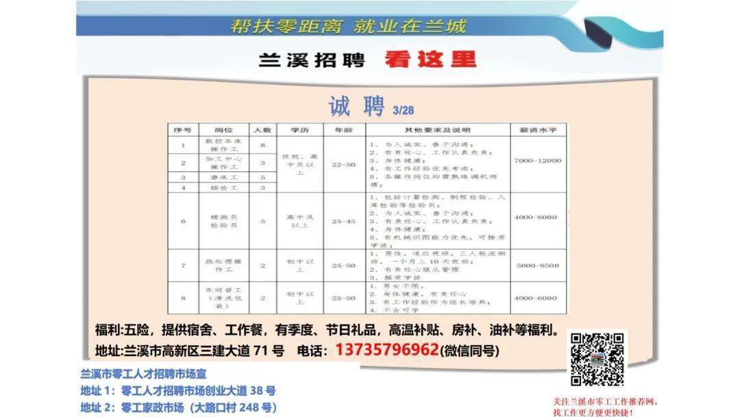 舒兰招聘网最新招聘，城市求职奇遇与友情的绽放之旅