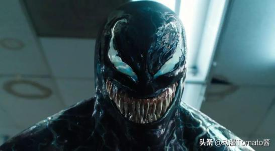 最新七龙珠，深度解读与观点阐述