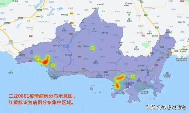 三亚疫情最新动态，城市变迁中的学习自信与希望