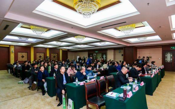 烟台最新招聘信息，时代脉搏与人才交响的交汇点