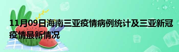 三亚疫情最新动态与观点论述