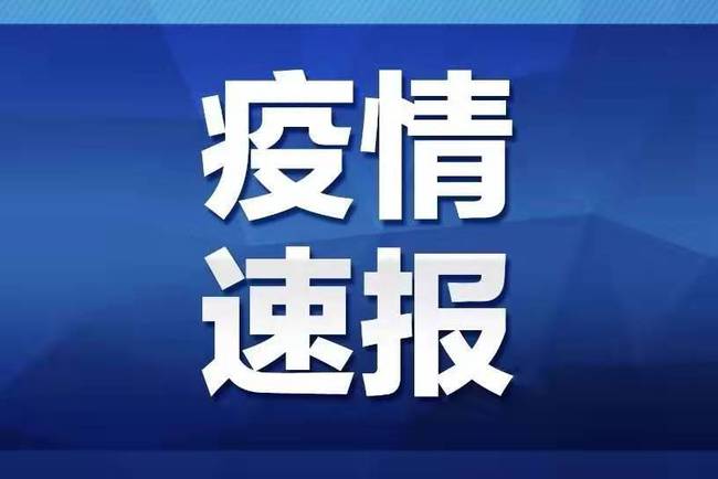 全国最新疫情通报，巷弄深处的独特风味