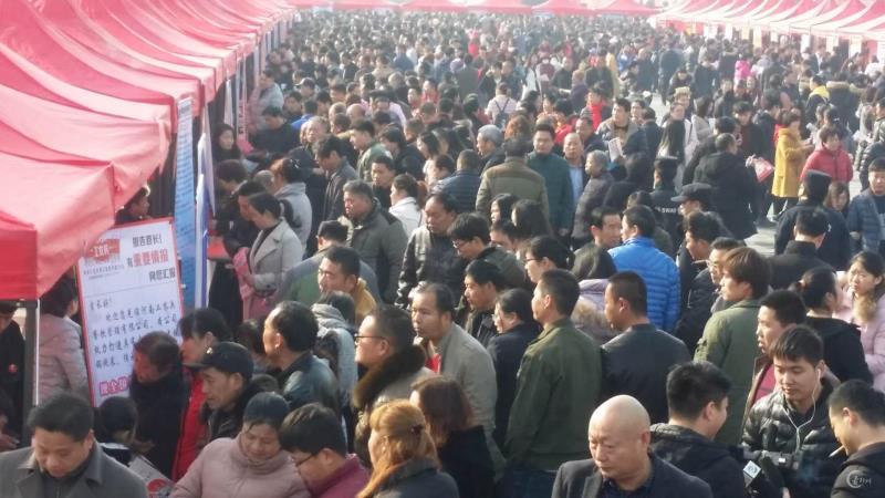 荥阳最新招聘信息及求职步骤指南