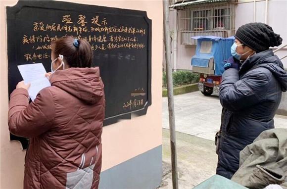 深度解读与分析报告
