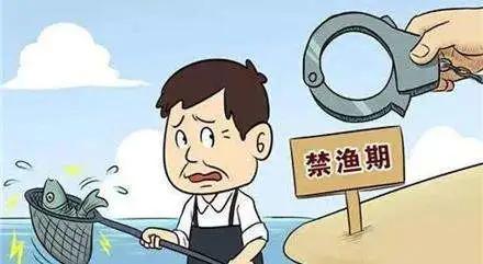 封江最新疫情动态及观点论述