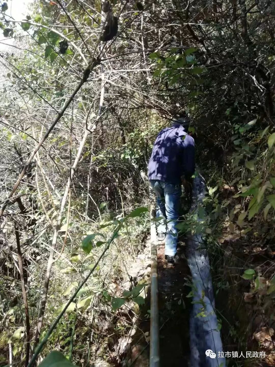 意大利最新疫情下的独特小巷风味