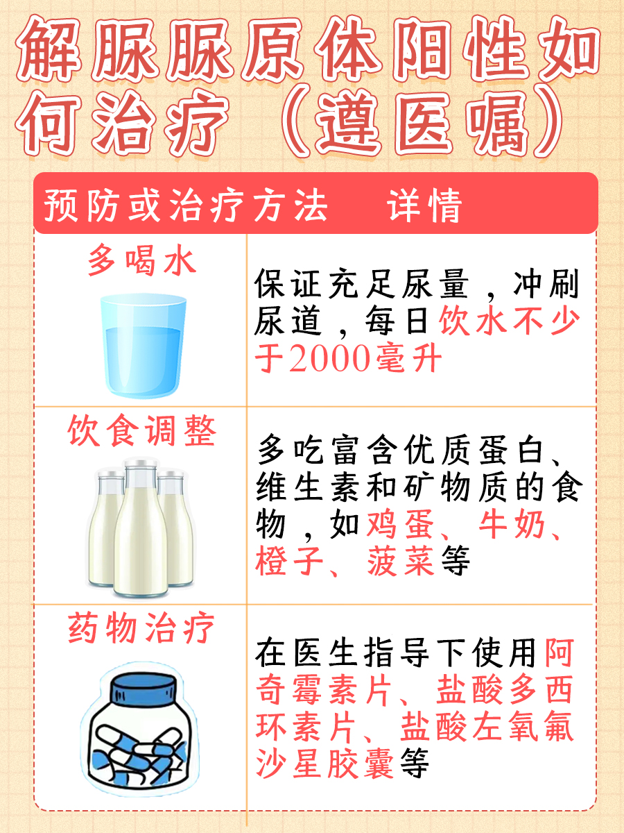 爱的魔法小助手，最新解脲脲介绍