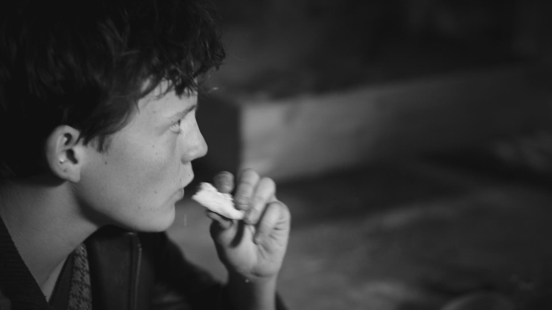 宠物食品挤出机 第98页