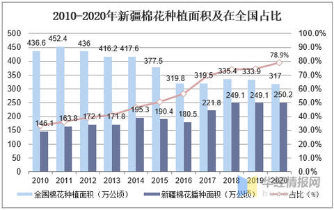 泰克玛最新发展态势及其深远影响，一种观点解析