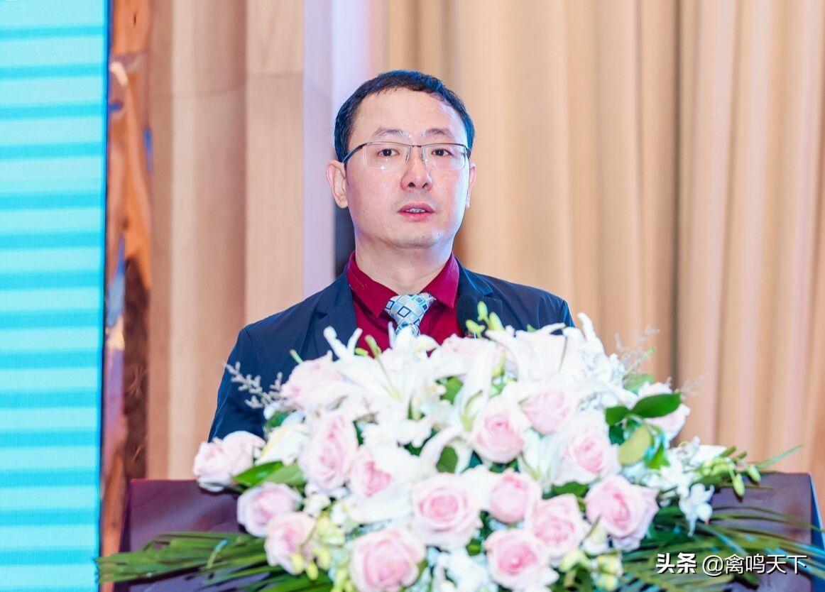 中国禽病网今日鸡蛋价格行情概览