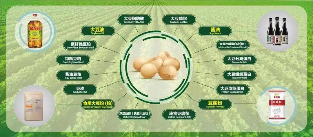 深度解析，300333股票行情与时代地位