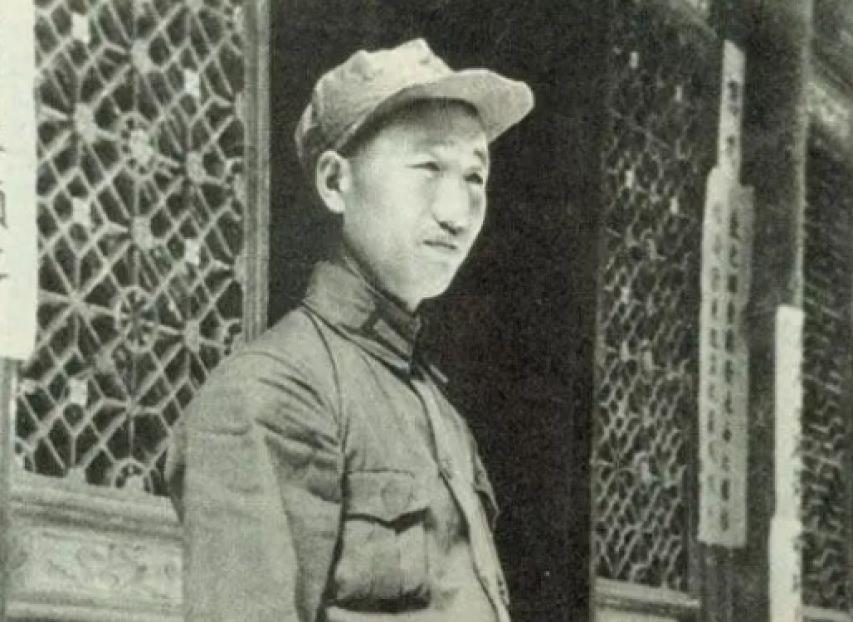 VIP电影院电视剧免费，时代产物与文化变迁的交融