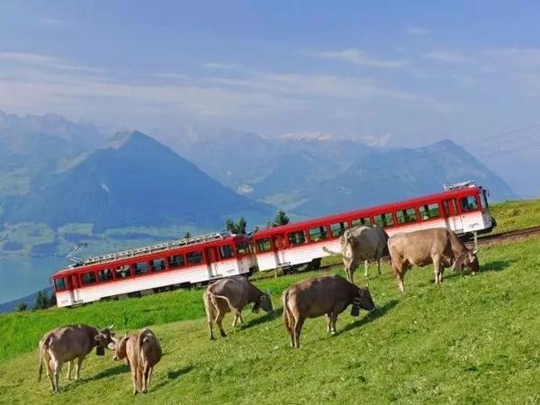 瑞士旅游团价格揭秘，情感与预算的完美交汇之旅
