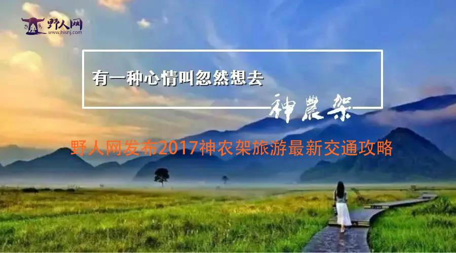 跃上巅峰的励志之旅，最新完整版分享
