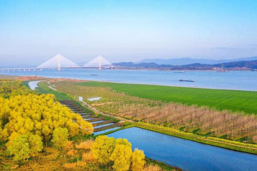 2岁宝宝是否适合看电视？探索自然美景的亲子旅程更有趣！