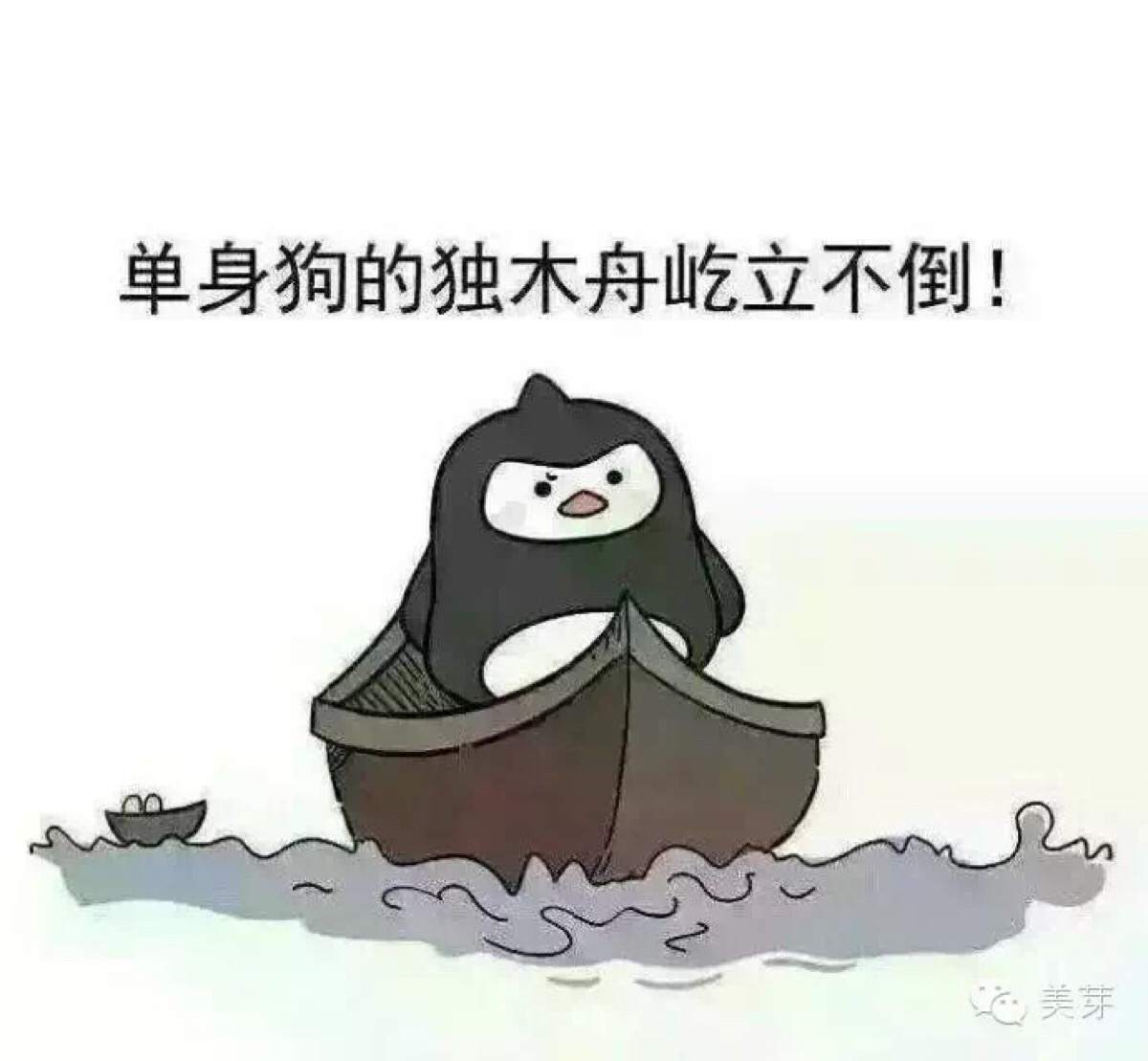 友情之家的温馨日常，库最新动态与日常点滴