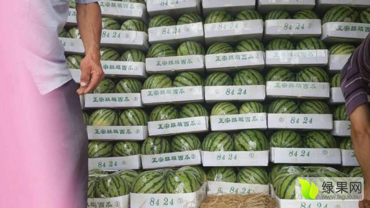 开封西瓜夏日甜蜜，最新售价亲民出炉！