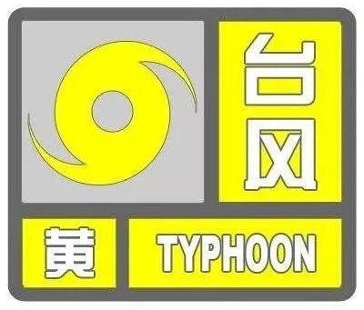 舟山台风最新动态更新，今日台风情况速递