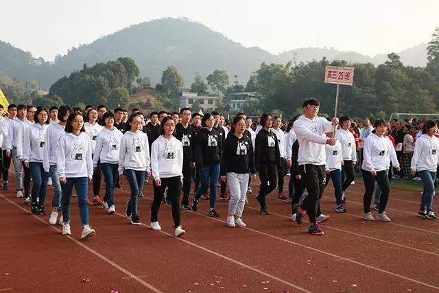 最新应用下载，科技魅力让生活更便捷多彩