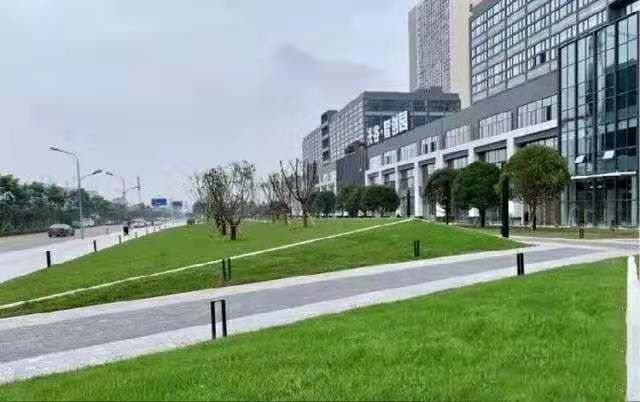 草馏社区，科技前沿与智能生活的交汇体验场