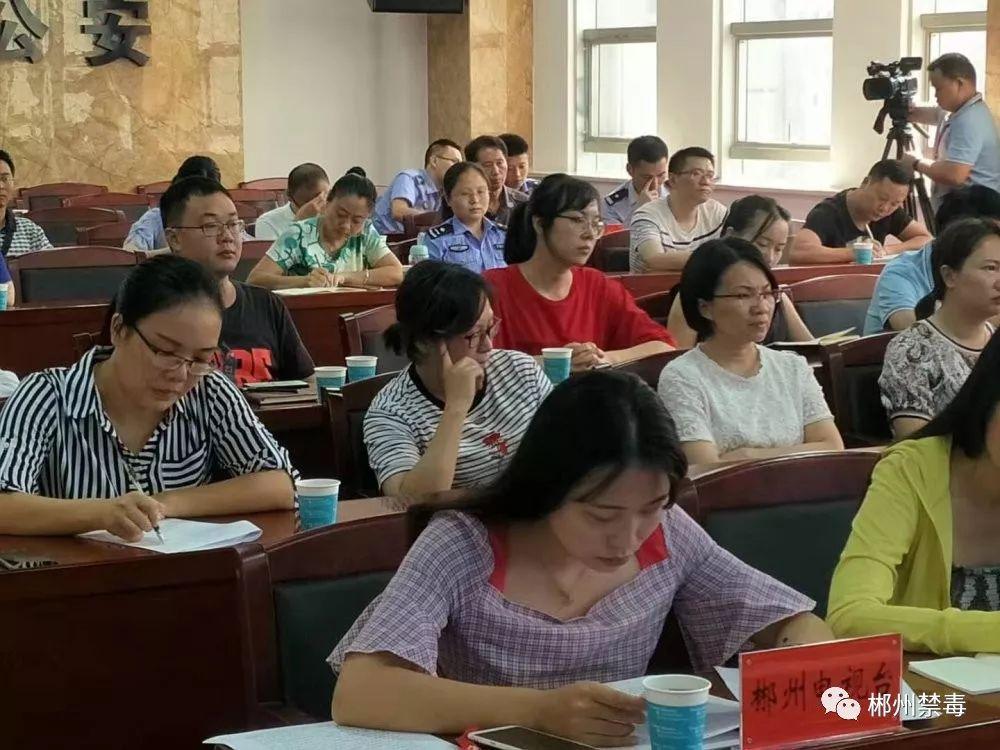 临武新闻网最新消息获取与了解步骤指南全解析