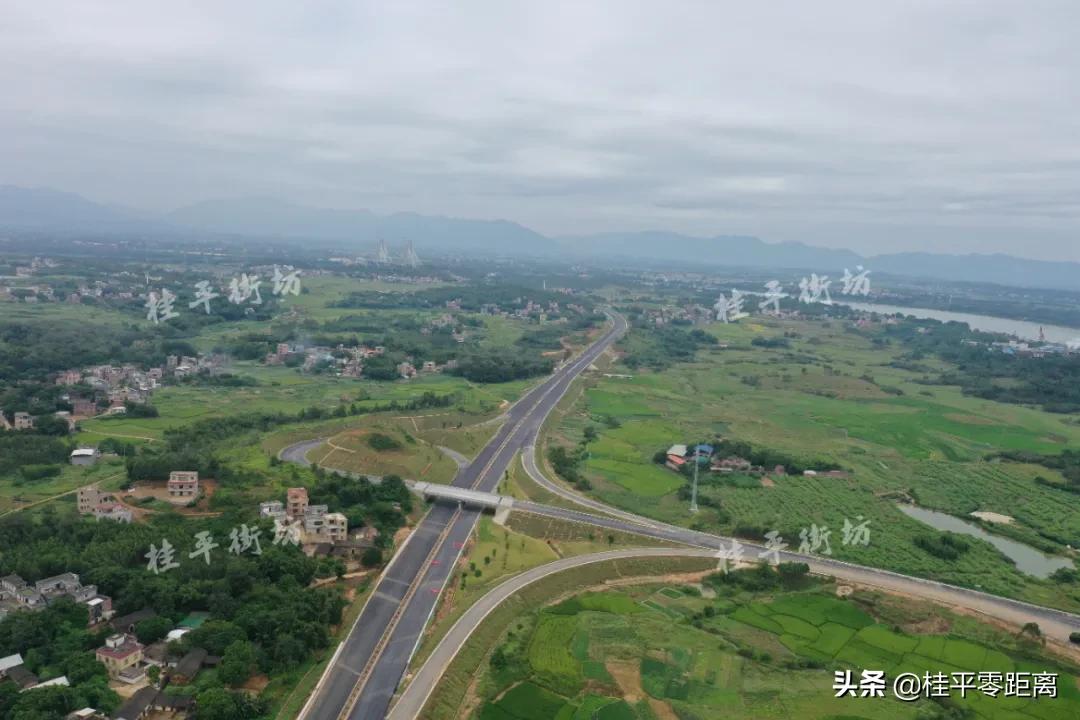 荔玉高速公路最新动态，进展、影响及观点分析