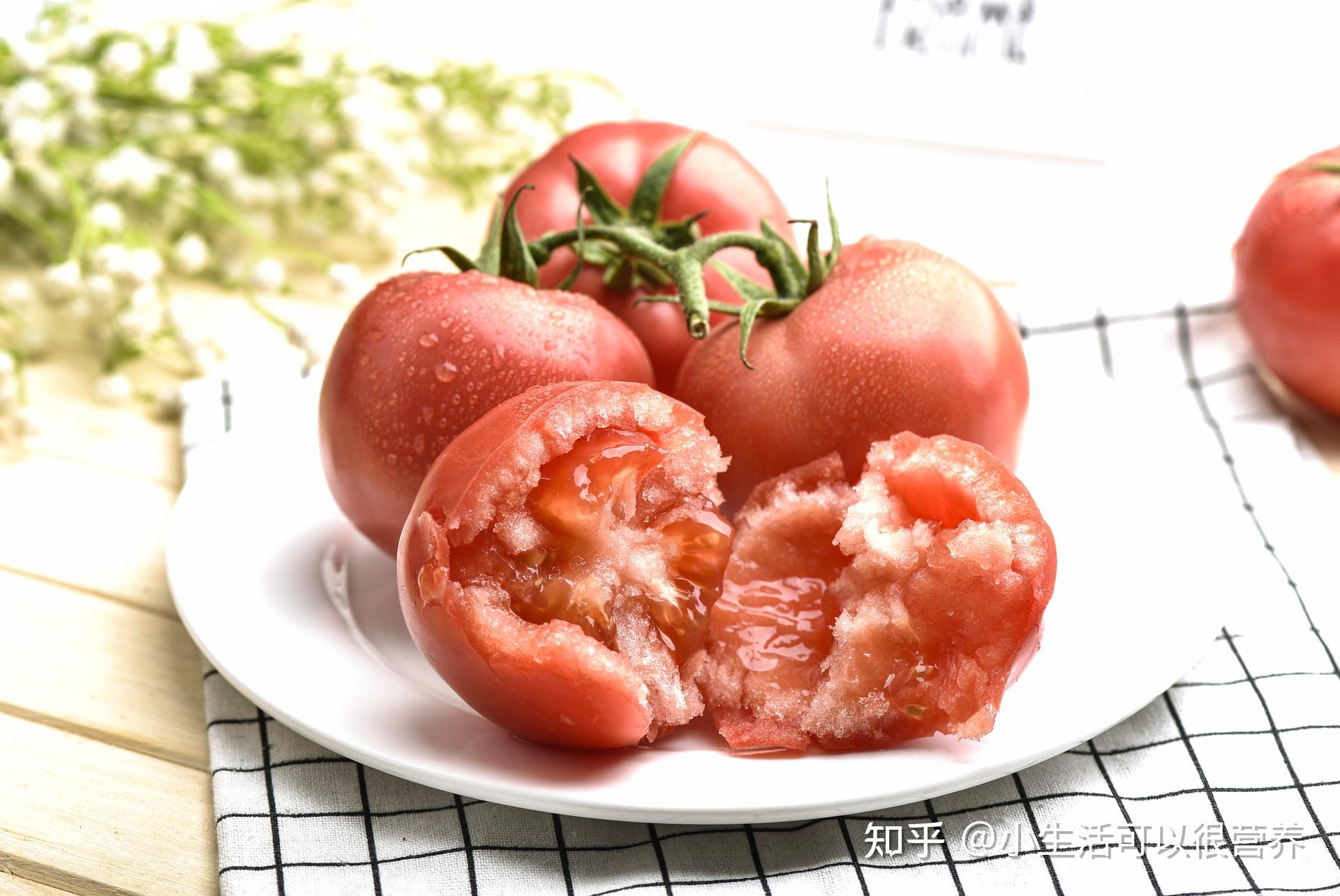 小巷中的食趣奇遇，西红柿最新小说分享