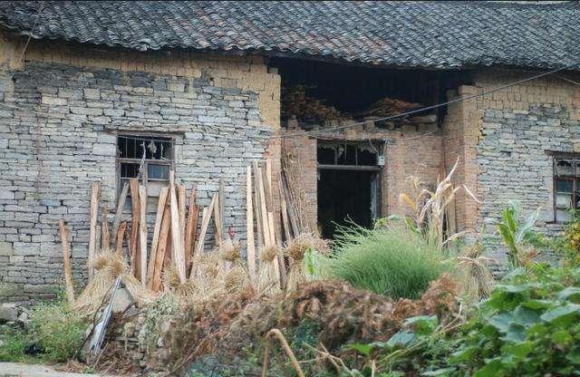宅基地继承最新政策解读与指导手册