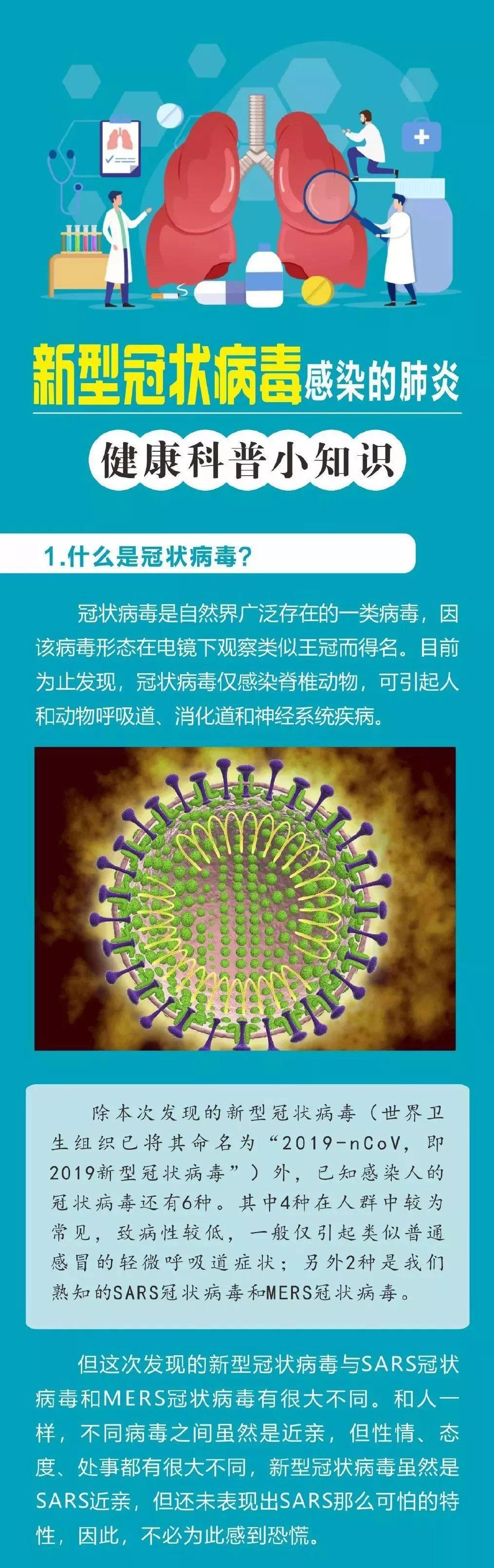 全面科普与应对指南，最新冠状病毒🦠知识解读与应对策略