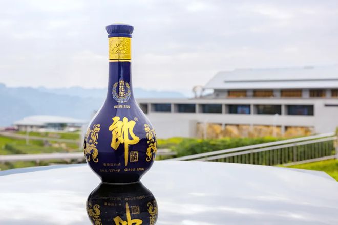 科技与艺术融合之美，最新瓷器展现独特魅力