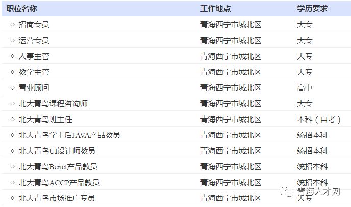 西宁最新招聘信息汇总，深度解析与观点论述