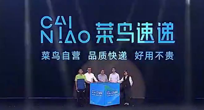 菜鸟成长之旅，最新消息揭秘奇妙友情之旅