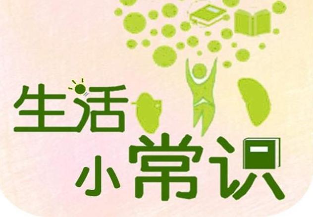 斩拌机厂家 第283页