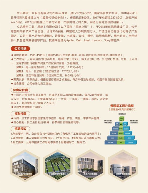 恩施招聘网最新招聘信息汇总，观点论述与求职指南
