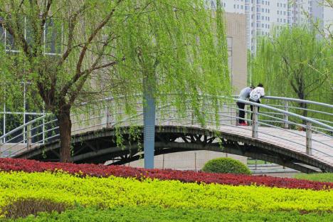 咸阳最新招聘，启程探索自然美景，寻找内心宁静之旅